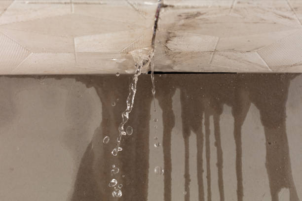Professional Structural Drying technician working in Mertens, TX